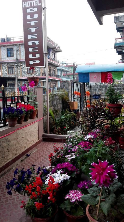 Hotel Buttercup Pokhara Bagian luar foto