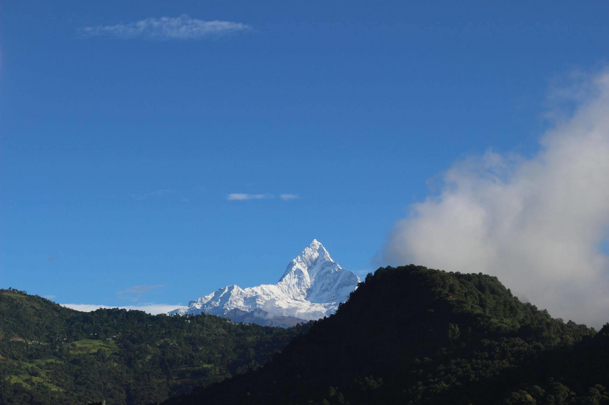 Hotel Buttercup Pokhara Bagian luar foto