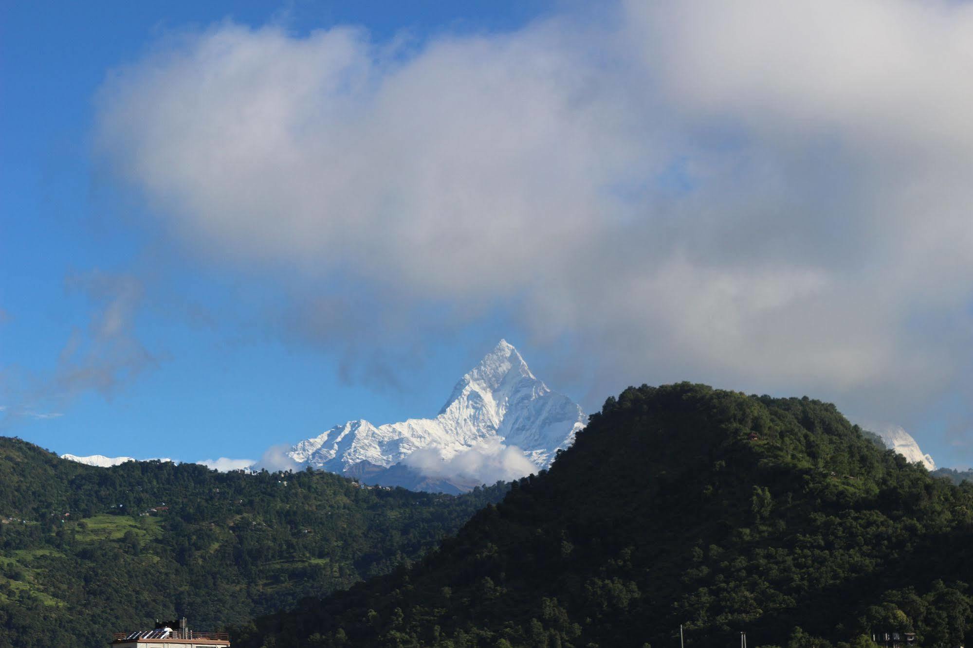 Hotel Buttercup Pokhara Bagian luar foto