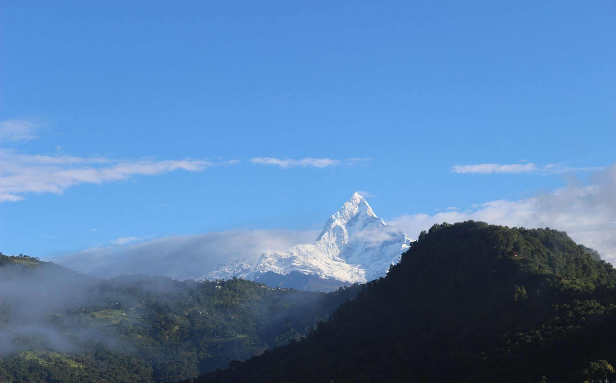 Hotel Buttercup Pokhara Bagian luar foto